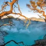 Banyuwangi: 2-Day Adventure with Baluran National Park - Discovering Banyuwangi: The Heart of Nature’s Diversity