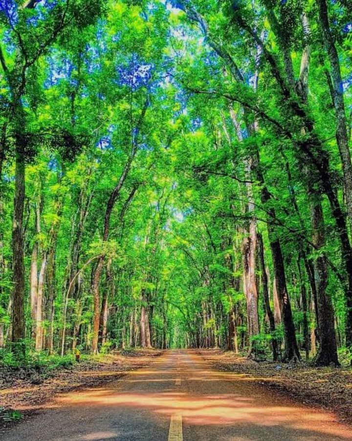 Banyuwangi: 2-Day Adventure with Baluran National Park - Practical Details & Tips