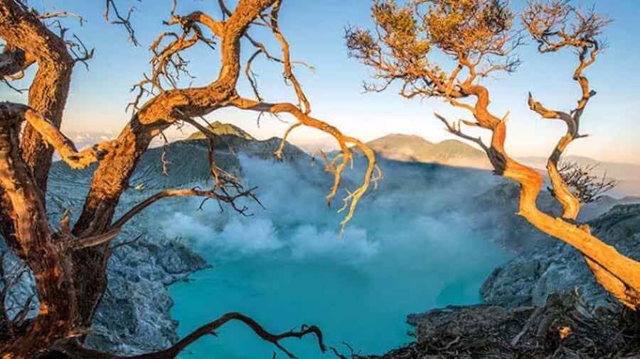 Banyuwangi: 2-Day Adventure with Baluran National Park - Discovering Banyuwangi: The Heart of Nature’s Diversity