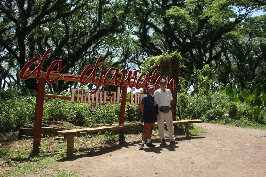 Banyuwangi: Djawatan Forest & Baluran National Park Tour - What Makes This Tour Special?