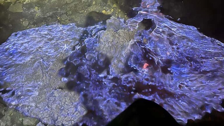 Banyuwangi: Ijen Volcano Trek & Coffee Plantation Tour - Coffee Plantation Visit: From Mountain to Mug