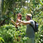 Banyuwangi: Village Walking Tour with Lunch & Coffee - Who Will Love This Tour?