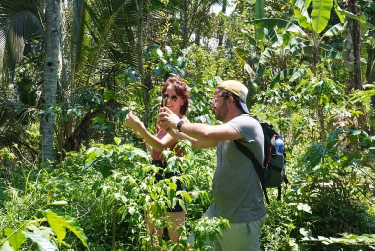 Banyuwangi: Village Walking Tour with Lunch & Coffee - Who Will Love This Tour?