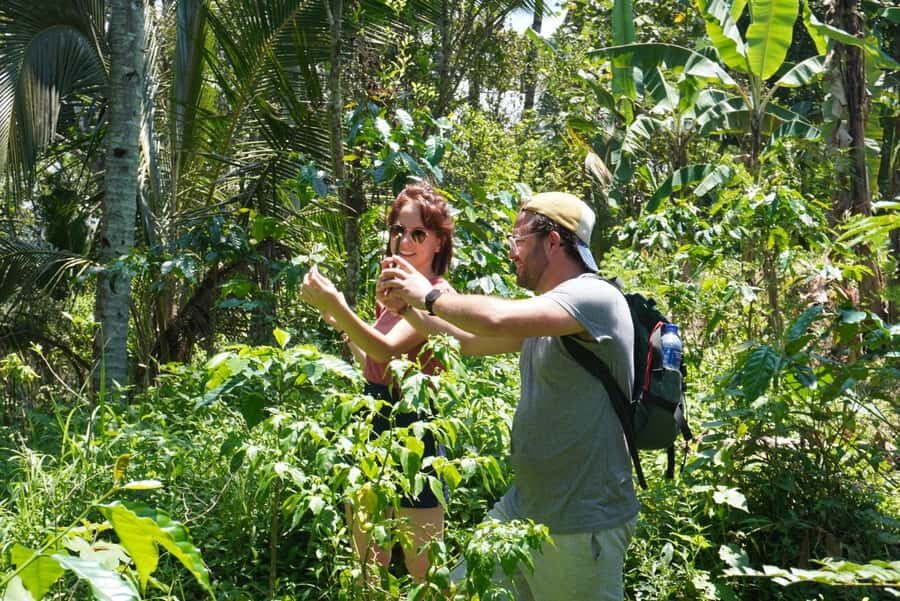 Banyuwangi: Village Walking Tour with Lunch & Coffee - Who Will Love This Tour?