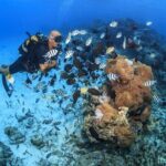 Baptism diving in the turquoise waters of Tahiti - Practical Details and Tips