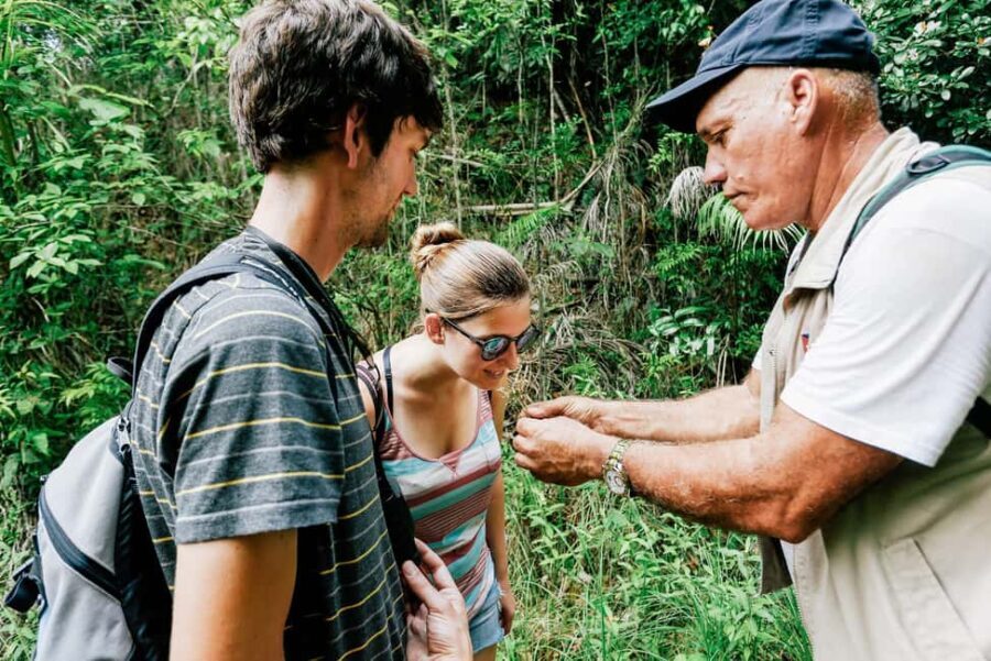 Barahona: La Plaza Waterfall Trek with Lunch & Transfers - Breaking Down the Experience