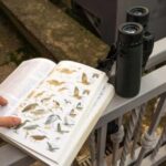 Barbados: Bird Watching Experience - Value and Experience