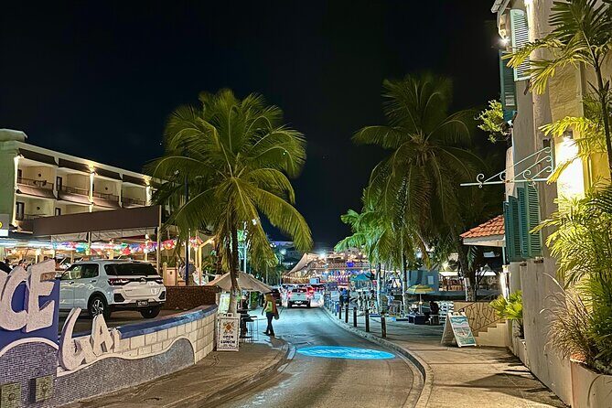 Barbados By Night: Nightlife Stops & Scenic Tour - What the Reviews Say
