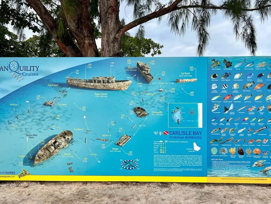 Barbados: Carlisle Bay Beach Day and Turtle Swim Experience - The Sum Up