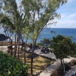 Barbados Full-day Private Tour - Who Is This Tour Best For?