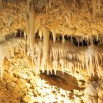 Barbados: Harrisons Cave & Huntes Gardens Tour - Practical Details & What to Expect