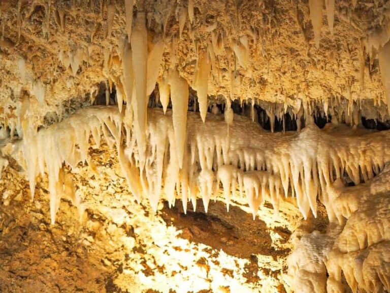 Barbados: Harrisons Cave & Huntes Gardens Tour - Practical Details & What to Expect