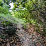 Barbados Hiking and Sightseeing Tour (Transport Included) - The Itinerary in Detail