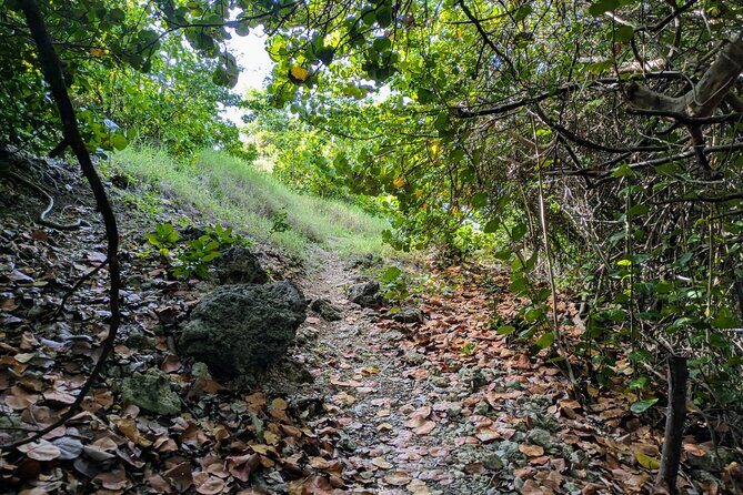 Barbados Hiking and Sightseeing Tour (Transport Included) - The Itinerary in Detail