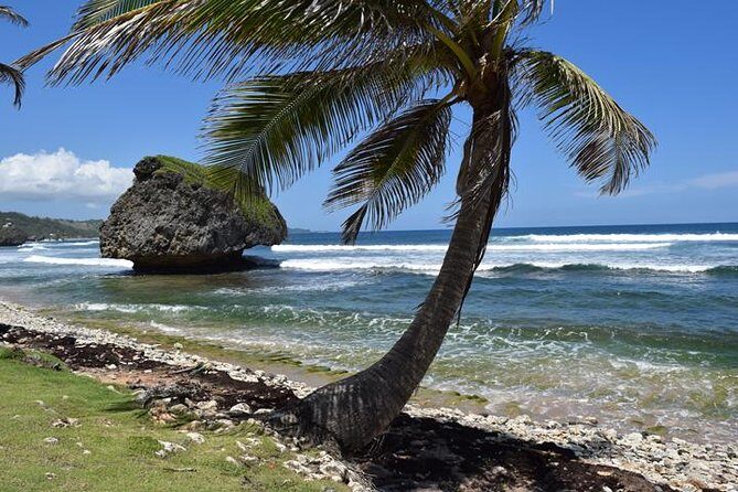 Barbados Island Tour, Monkey feeding & Swimming with the Turtles - FAQs