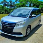 Barbados Private Arrival Transfer from Airport (BGI) - The Practicalities