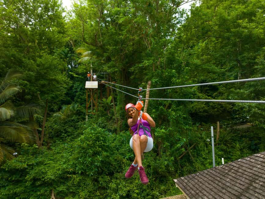 Barbados: Signature Park Pass & Monkey Zip Experience - Exploring Harrison’s Cave