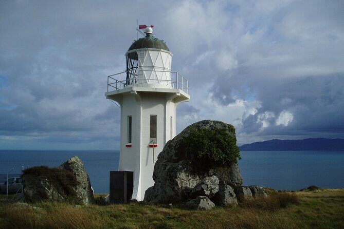 Baring Head Lighthouse Wainuiomata - Why This Tour Is a Great Value