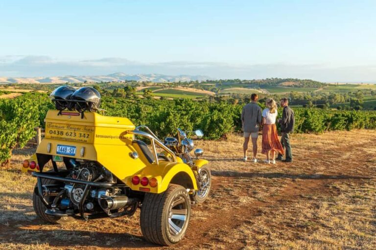 Barossa Valley: 3.5hr Trike Tour For 2 - The Sum Up