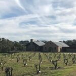Barossa Valley: Small Group Wine Tour (Includes Lunch) - Exploring the Tour Itinerary in Depth