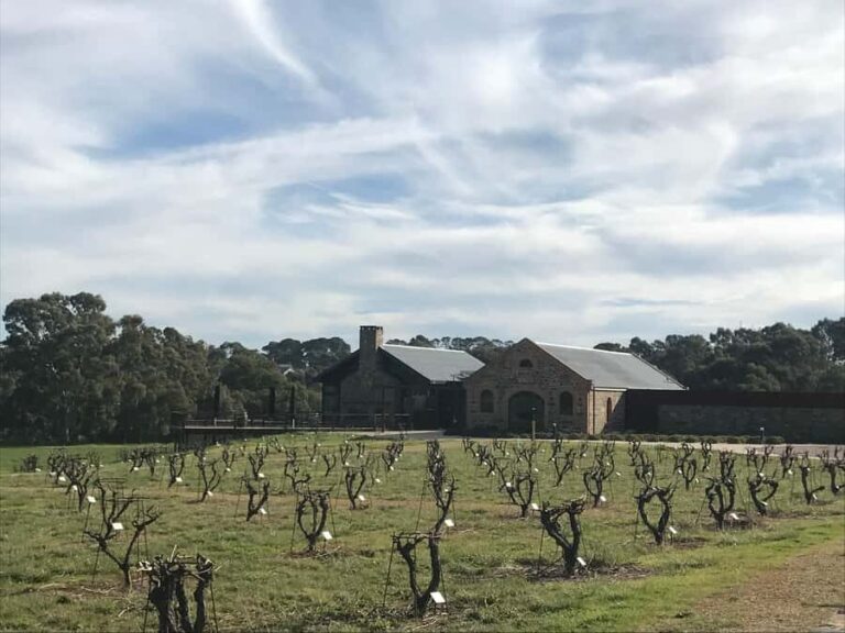 Barossa Valley: Small Group Wine Tour (Includes Lunch) - Exploring the Tour Itinerary in Depth