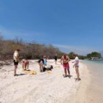 Basic Snorkeling Menjangan Island - Discovering Menjangan Island: An Underwater Paradise