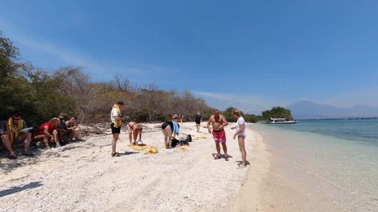 Basic Snorkeling Menjangan Island - Discovering Menjangan Island: An Underwater Paradise