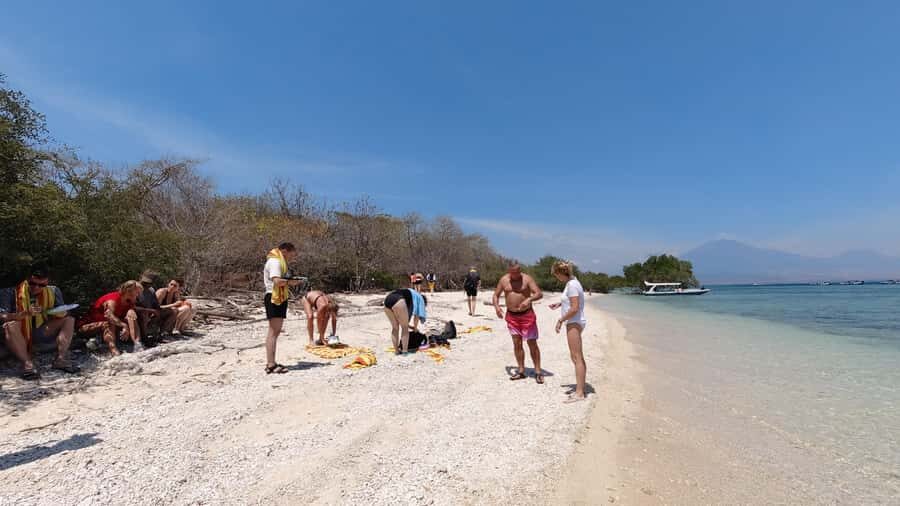 Basic Snorkeling Menjangan Island - Discovering Menjangan Island: An Underwater Paradise