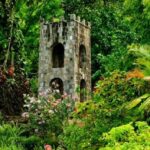 Basseterre: Plantation and Beach Extravaganza - The Sum Up