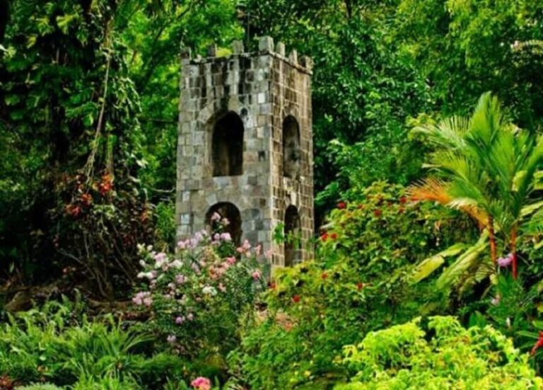 Basseterre: Plantation and Beach Extravaganza - The Sum Up