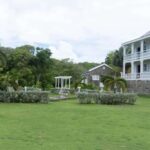 Basseterre Plantation Half Day Tour - Deep Dive into the Itinerary