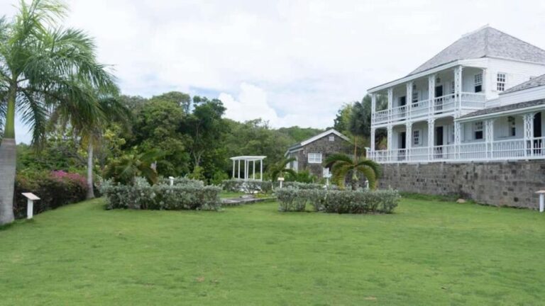 Basseterre Plantation Half Day Tour - Deep Dive into the Itinerary