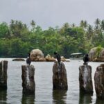 Bat Watching & Cinnamon experience -Koggala - A Deep Dive into the Koggala Lake Experience