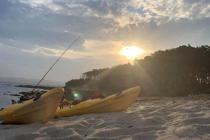 Batemans Bay Overnight Kayak Camping Tour from Canberra - All Inclusive - What Travelers Love Most