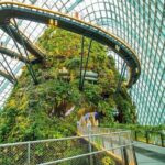 Bay Cloud Forest Gardens, Flower Dome, Jurassic World Experience - Unpacking the Experience: A Practical Guide