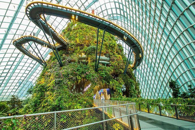 Bay Cloud Forest Gardens, Flower Dome, Jurassic World Experience - Unpacking the Experience: A Practical Guide