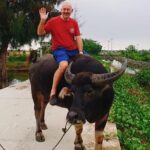 Bay Mau Coconut Jungle to Basket Boat &Countryside Village Hoi An - Farming Activities and Water Buffalo Ride