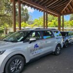 Bay Of Islands - Airport Transfers - The Experience: What to Expect from Your Transfer