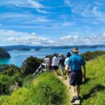 Bay of Islands: Day Sailing Cruise with Island Stop & Lunch - The Water Activities and Island Exploration