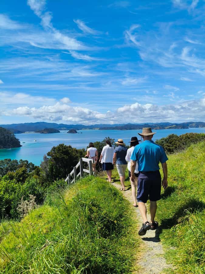 Bay of Islands: Day Sailing Cruise with Island Stop & Lunch - The Water Activities and Island Exploration