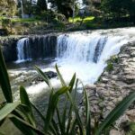 Bay of Islands - Mini Tour: (75-90mins) - Final Thoughts