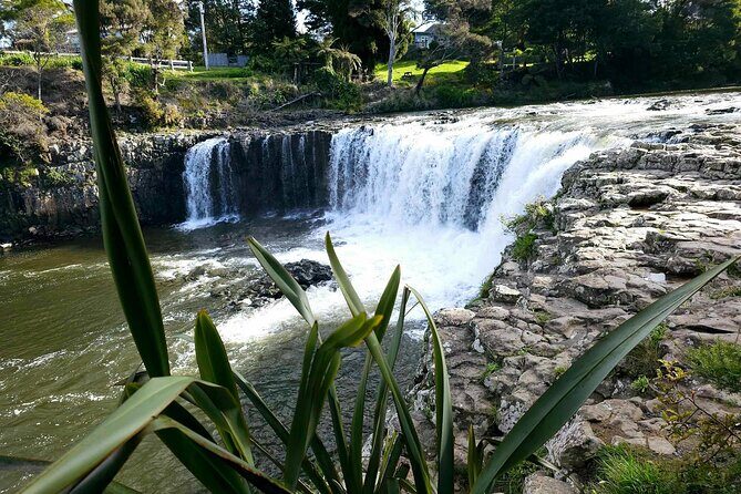 Bay of Islands - Mini Tour: (75-90mins) - Final Thoughts