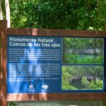 Bayahibe: Colonial Zone and Los Tres Ojos Tour - Final Thoughts: Is This Tour Right for You?