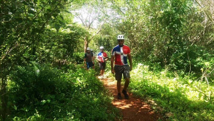 Bayahibe Ebike Tour - Who Should Consider This Tour?