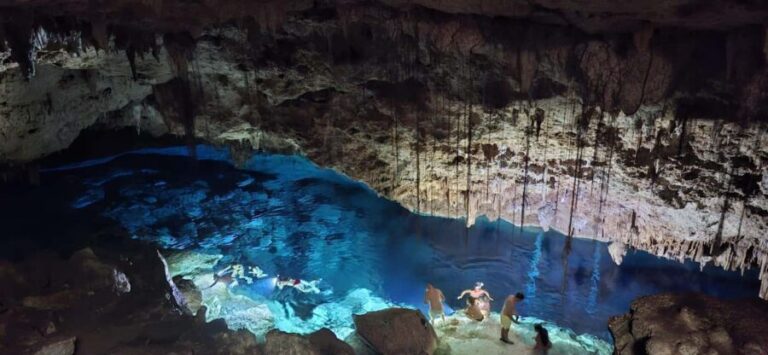 Bayahibe: National Park Jungle Walk & Snorkeling in Cenotes - What Makes This Tour Stand Out?