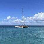 Bayahibe: Saona Island Boat Tour Small Group - Practical Details: Whats Included and What to Bring