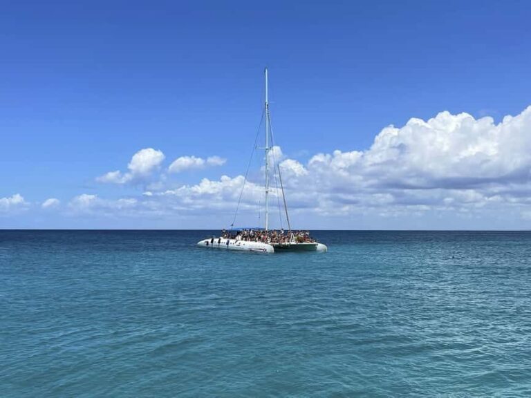 Bayahibe: Saona Island Boat Tour Small Group - Practical Details: Whats Included and What to Bring
