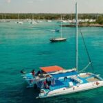Bayahibe: Saona Island Catamaran Tour with Lunch & Drinks - Deep Dive into the Experience Components
