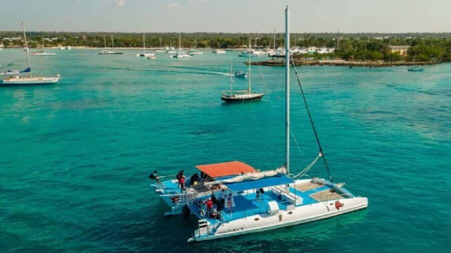 Bayahibe: Saona Island Catamaran Tour with Lunch & Drinks - Deep Dive into the Experience Components