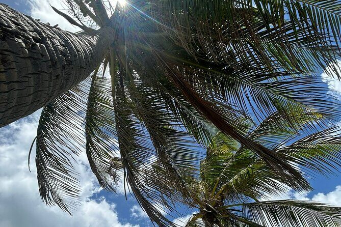 Beach Bliss Yoga in San Juan - Why the Small Group Size Matters